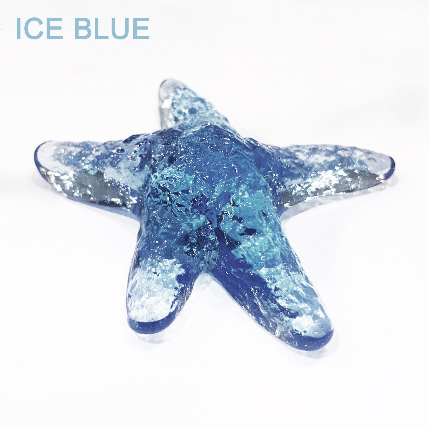 Mark Lauckner Glass Starfish | ENVISION GALLERY & GIFTS