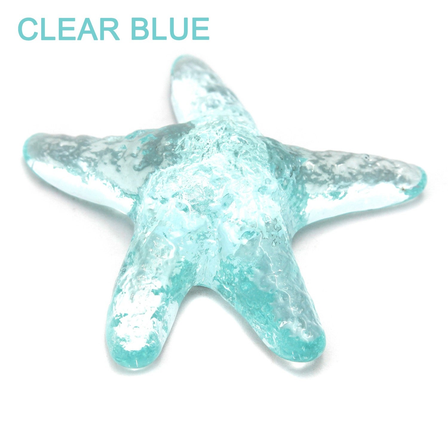 Mark Lauckner Glass Starfish | ENVISION GALLERY & GIFTS