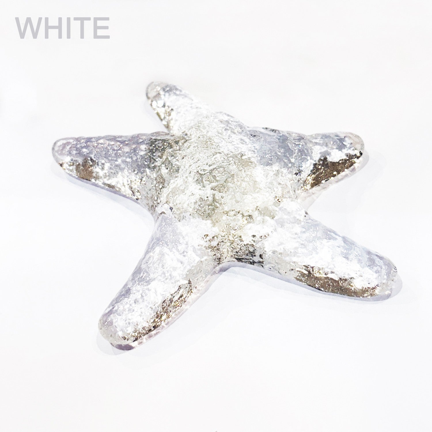 Mark Lauckner Glass Starfish | ENVISION GALLERY & GIFTS