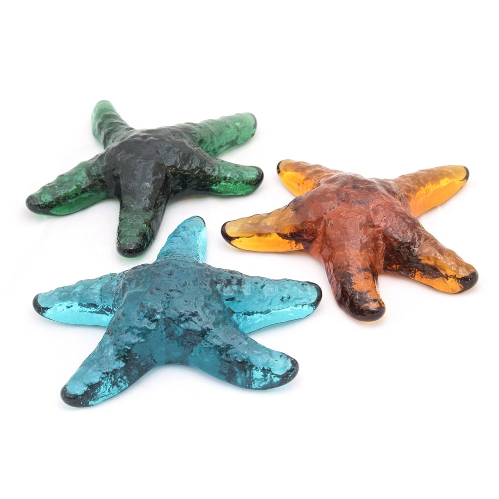 Mark Lauckner Glass Starfish | ENVISION GALLERY & GIFTS