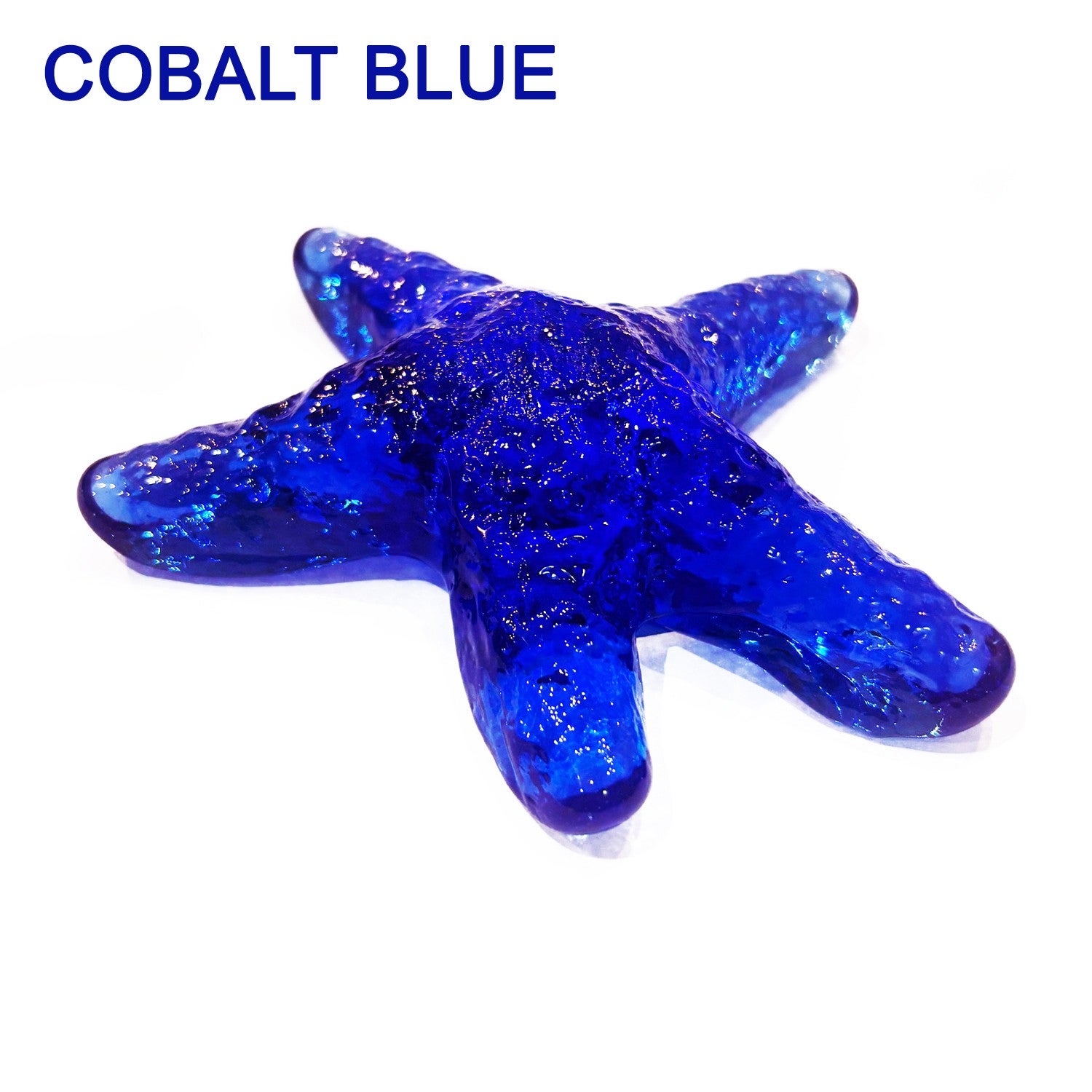 Mark Lauckner Glass Starfish | ENVISION GALLERY & GIFTS